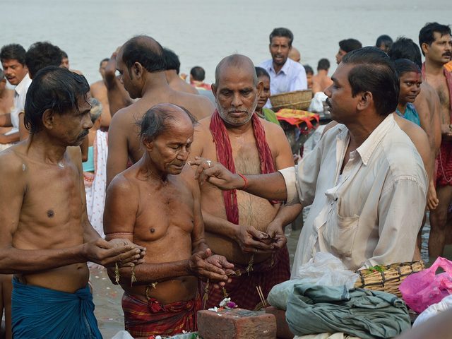 Tarpan