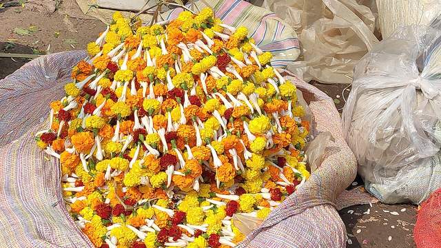 Marigolds for the rite